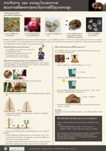 CBB poster thumbnail